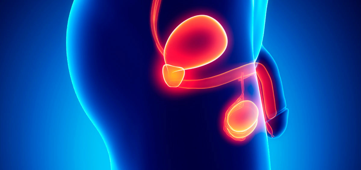 Mes de Concientización del Cáncer de Próstata